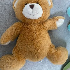 teddy