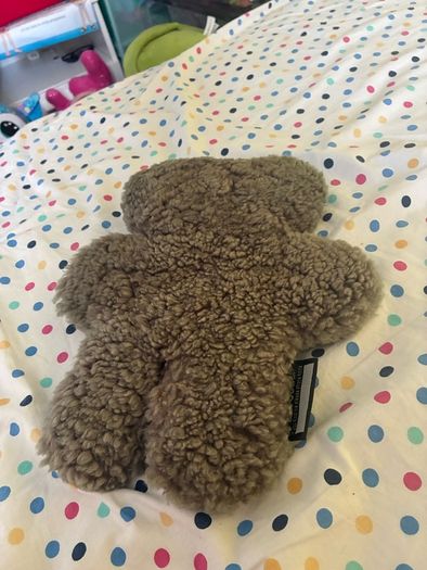 teddy