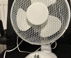 fan