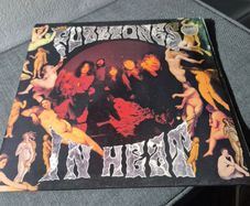 the fuzztones in heat