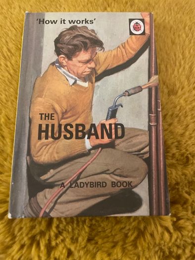 Adult Ladybird Books
