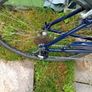 Ladys Pendleton Bike Image 2