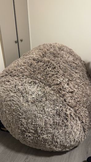 Giant bean bag bed