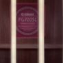 Guitar Image 2