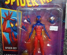 Marvel Spider Boy!