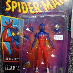 Marvel Spider Boy!