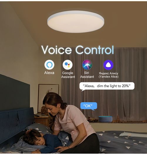 Ceiling lamp RGBCW Ceiling Light Wifi APP Voice Control With Alexa Yandex 30W LED Lights For Livingroom decoration Bedroom