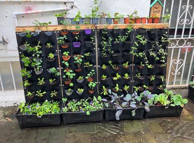 Wall Garden 18 pocket Felt Pocket Panel for upright wall/ pallets