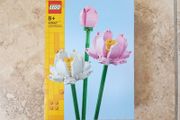 LEGO 2023 Lotus Flowers - Botanicals - Pink/White Flowers 220 pcs 1:1 40647 New