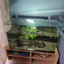 150L tank Image 2