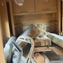 caravan Image 3