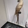 decorative parrot Image 6
