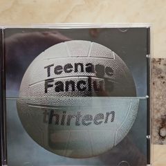 Teenage Fanclub CD - Thirteen