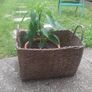 Plant basket Image 2