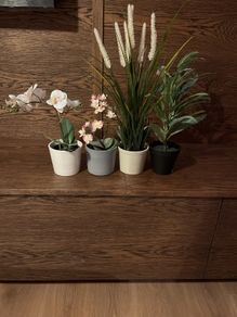Artificial House Plants