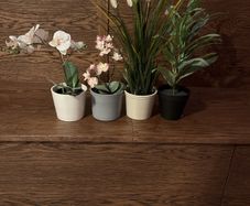 Artificial House Plants