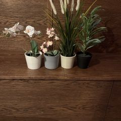 Artificial House Plants