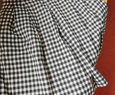 BNWT - Massimo dutti skirt UK 12