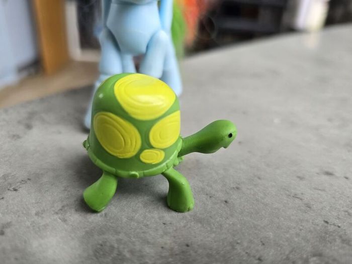 Articulated Joints Rainbow Dash with Pet Turtle Tortoise MLP G4 My Little Pony
