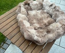 Pet Bed