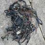 BMW E30 325i Loom Complete Image 2