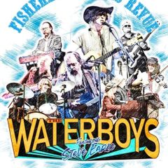 The Waterboys & Steve Earle Live 3 Arena 05.09.2026 60 euro each