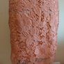 Stunning Wallis Lace Occasion Dress Image 9