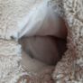Foot warmer Image 5