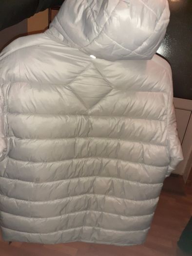 Canada Goose