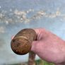 Vintage hazel walking stick Image 3