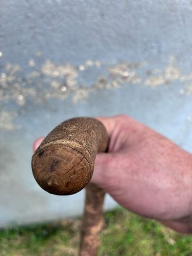 Vintage hazel walking stick