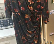 Phase eight lottia dress