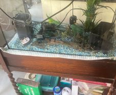 fish tank