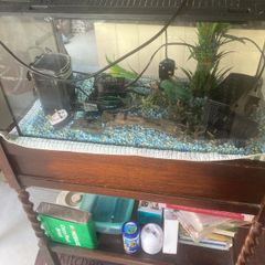 fish tank