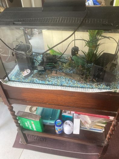 fish tank