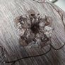 Per Una  Crinkle Linen/ Cotton  Mix Skirt. S.16. B.N.W.T Image 8