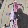 bike Image 4