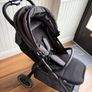 Zummi zip buggy Image 2