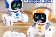 Rockie Intelligent Ai Robot