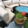 garden Image 4