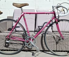Raleigh Racing bike