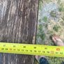 oak table Image 7