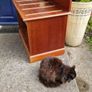 wooden storage unit Image 3