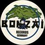 Musik-Do you feel the light -Bonzai Image 2