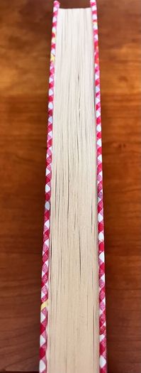 Diary Of A Wimpy Kid, Book 19 , Hot Mess by Jeff Kinney