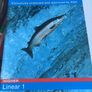 New Gcse Books Image 7
