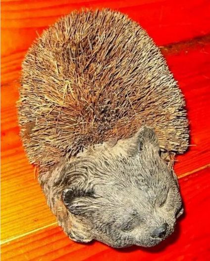 Vintage Boot Brush