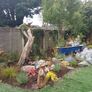 Soft  landscaping services north dublin Image 6
