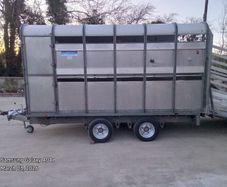 126 Ifor Williams double axle cattle trailer