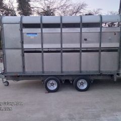 126 Ifor Williams double axle cattle trailer
